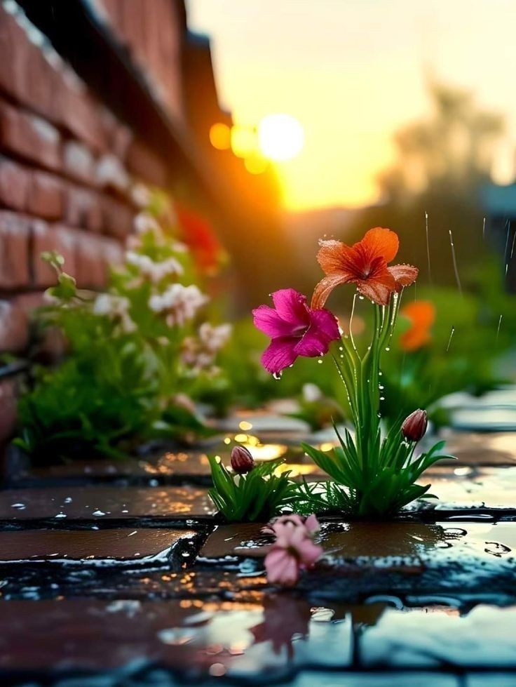 💫🧡💫Beautiful evening 💫🧡💫
