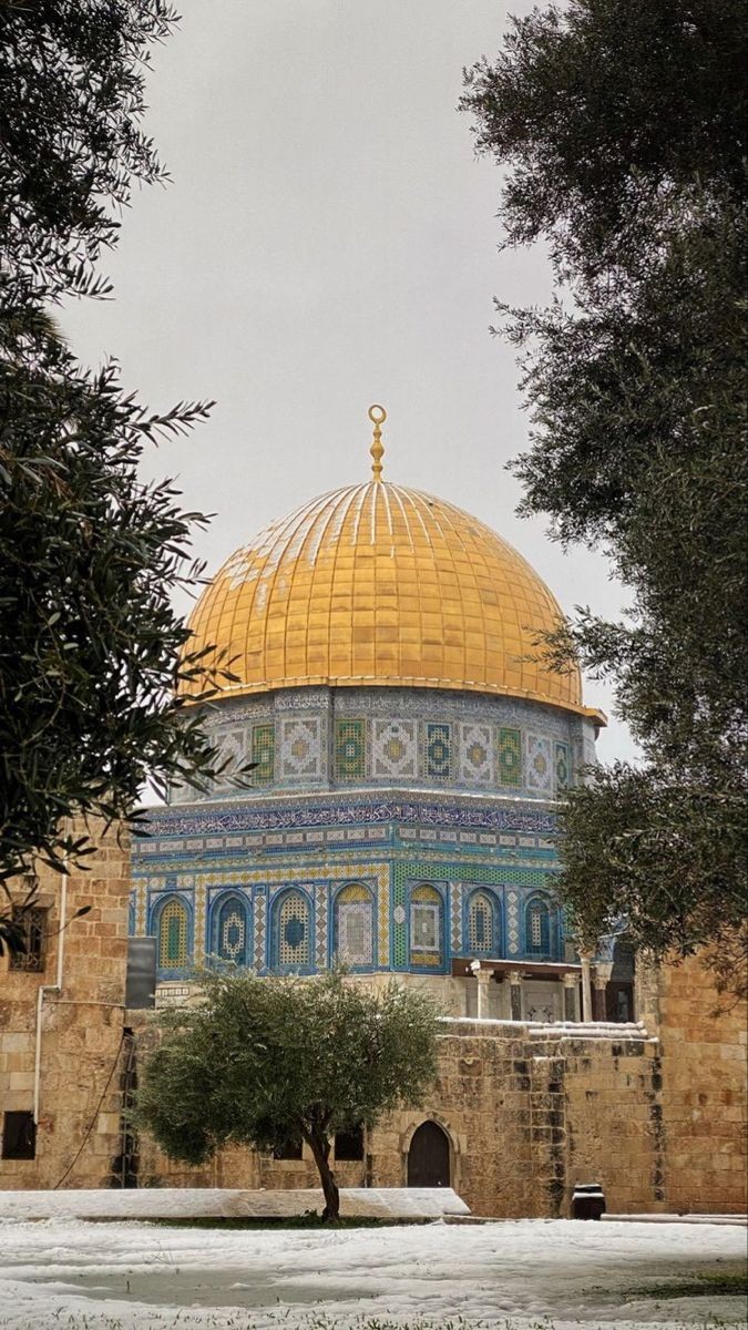 erlanishere's tweet photo. Kumpulan wallpaper/lock screen Masjid al-Aqsa biar kamu selalu ingat Palestina.
Silakan dipilih-pilih mana yang paling kamu suka. ❤️
(A thread) https://t.co/xmtydgKgrh
