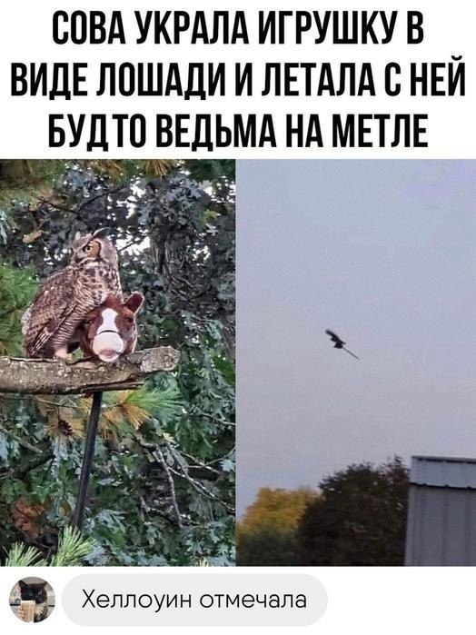 Пьяный Твиттер (@drunktwi) on Twitter photo 