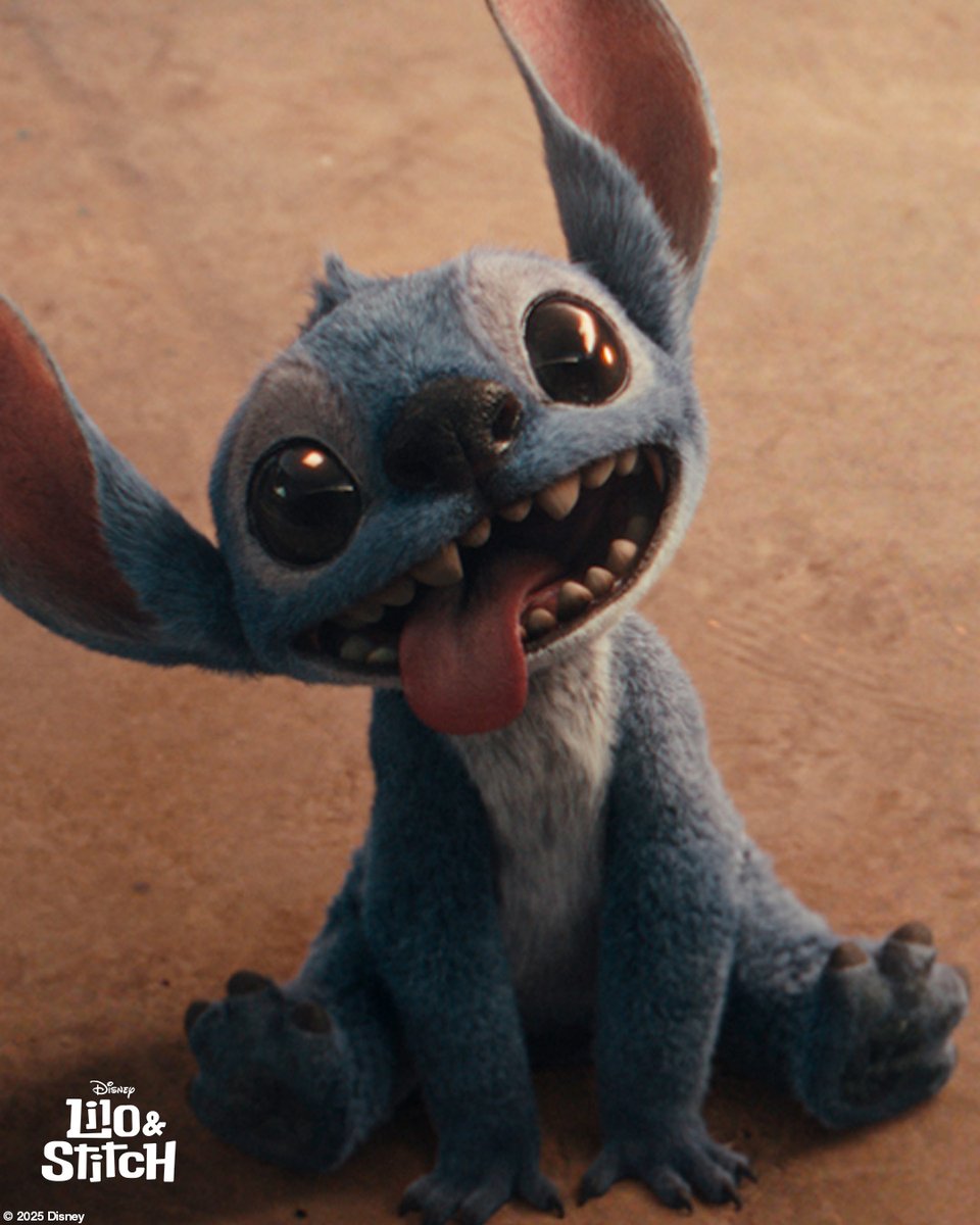 Carino &amp; Morbidoso
Lilo &amp; Stitch, sarà al cinema dal 21 Maggio. #LiloEStitch