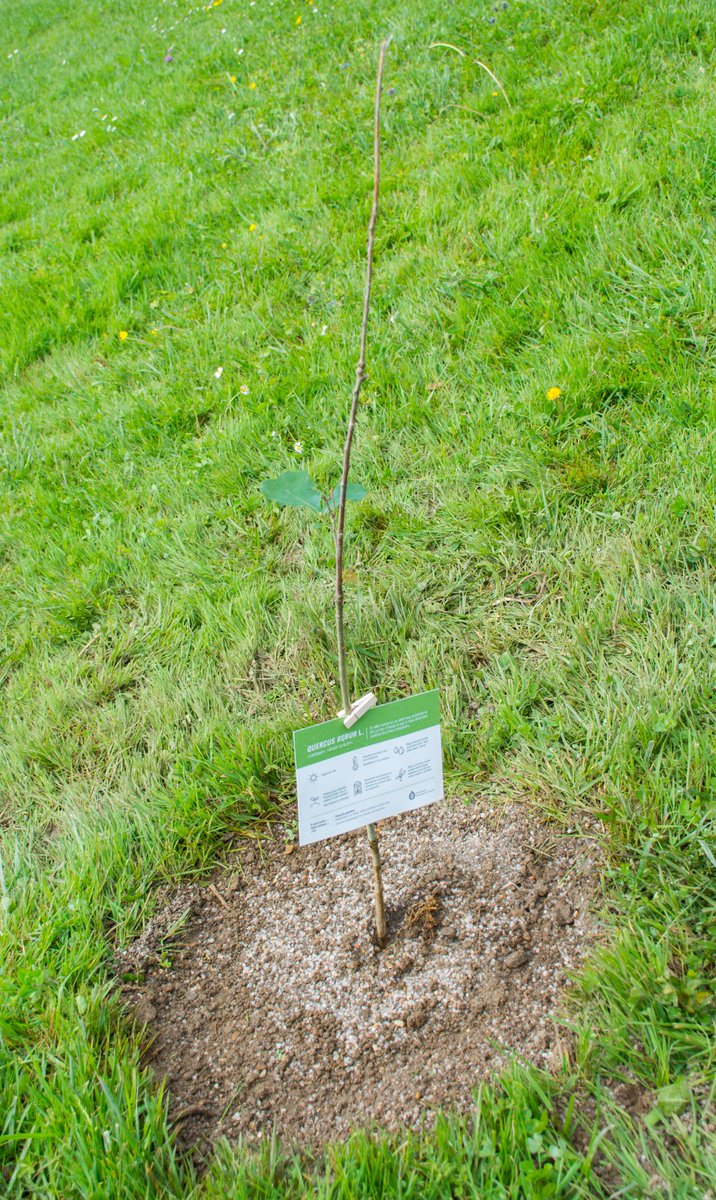 Aulas Hospitalarias HUCA tweet media