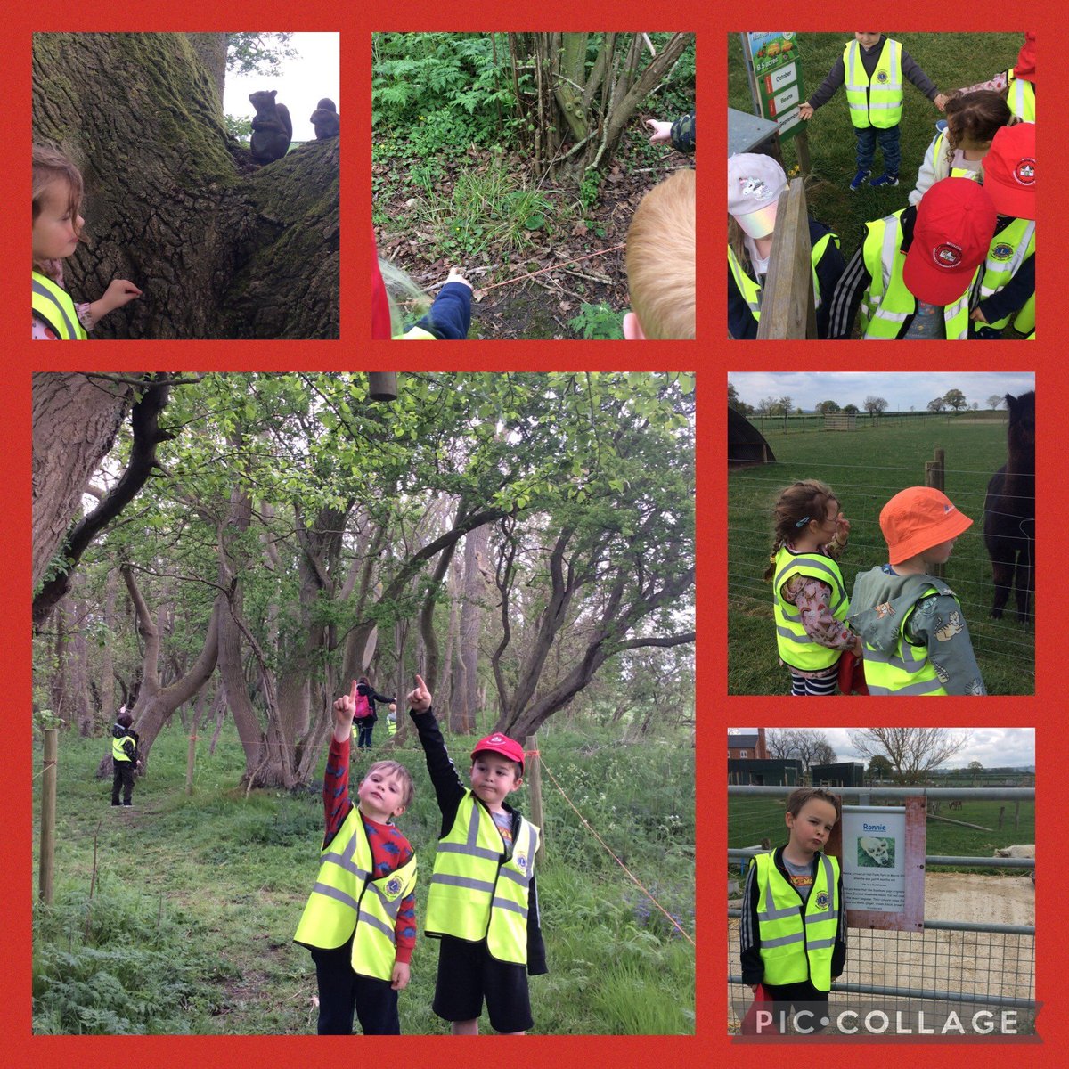 (NCPS) We loved finding the Pingles  and all the different wildlife.  We are getting ready for the tractor ride to feed  the cows.