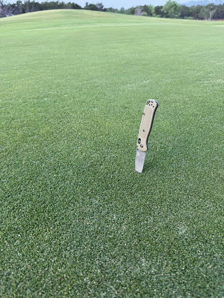 Sprigged Lazer Zoysia starting to get good on putting surfaces. Fantastic texture.