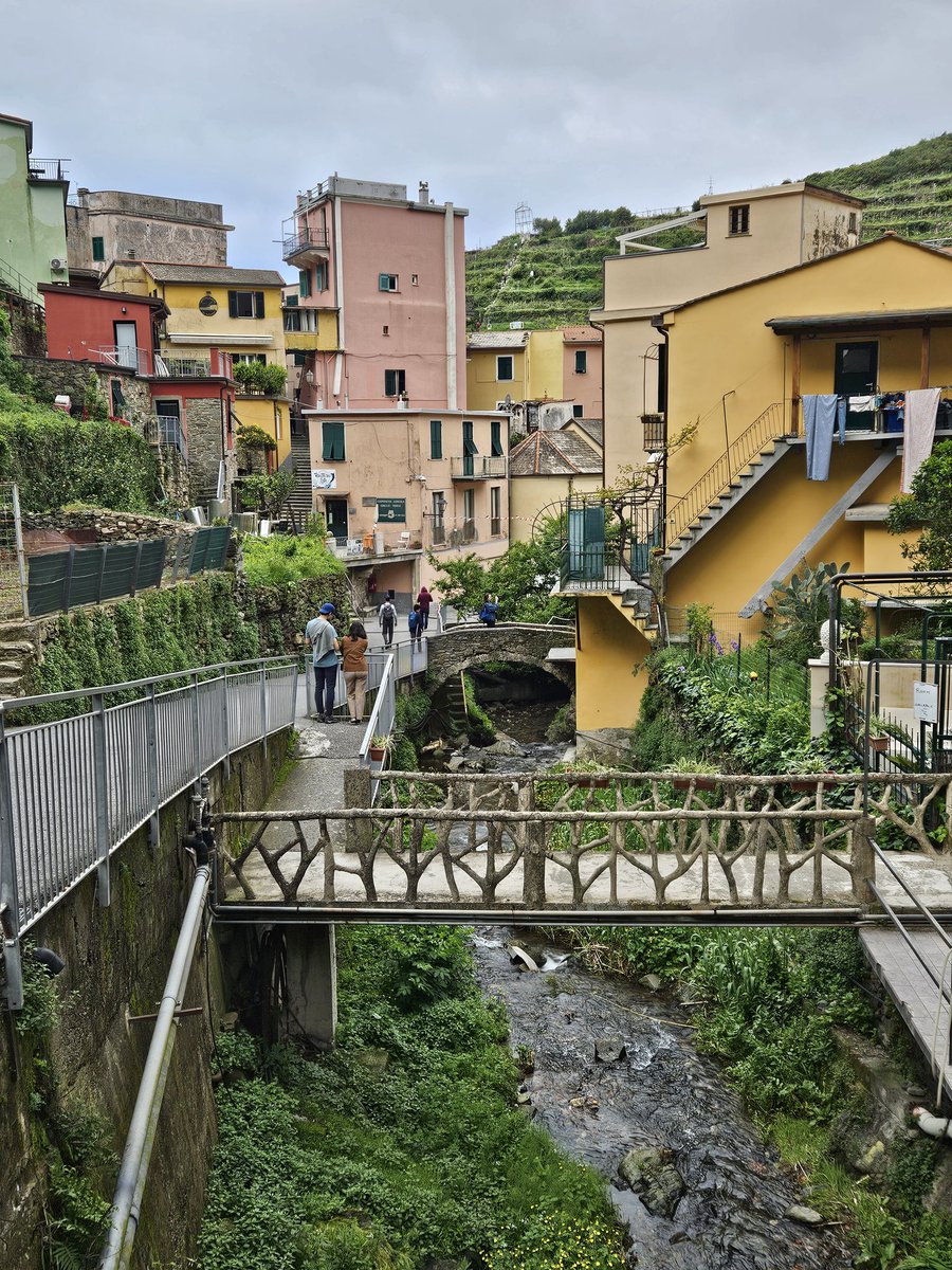 Manarolo Italy. Plants growing and thriving in pure rock
