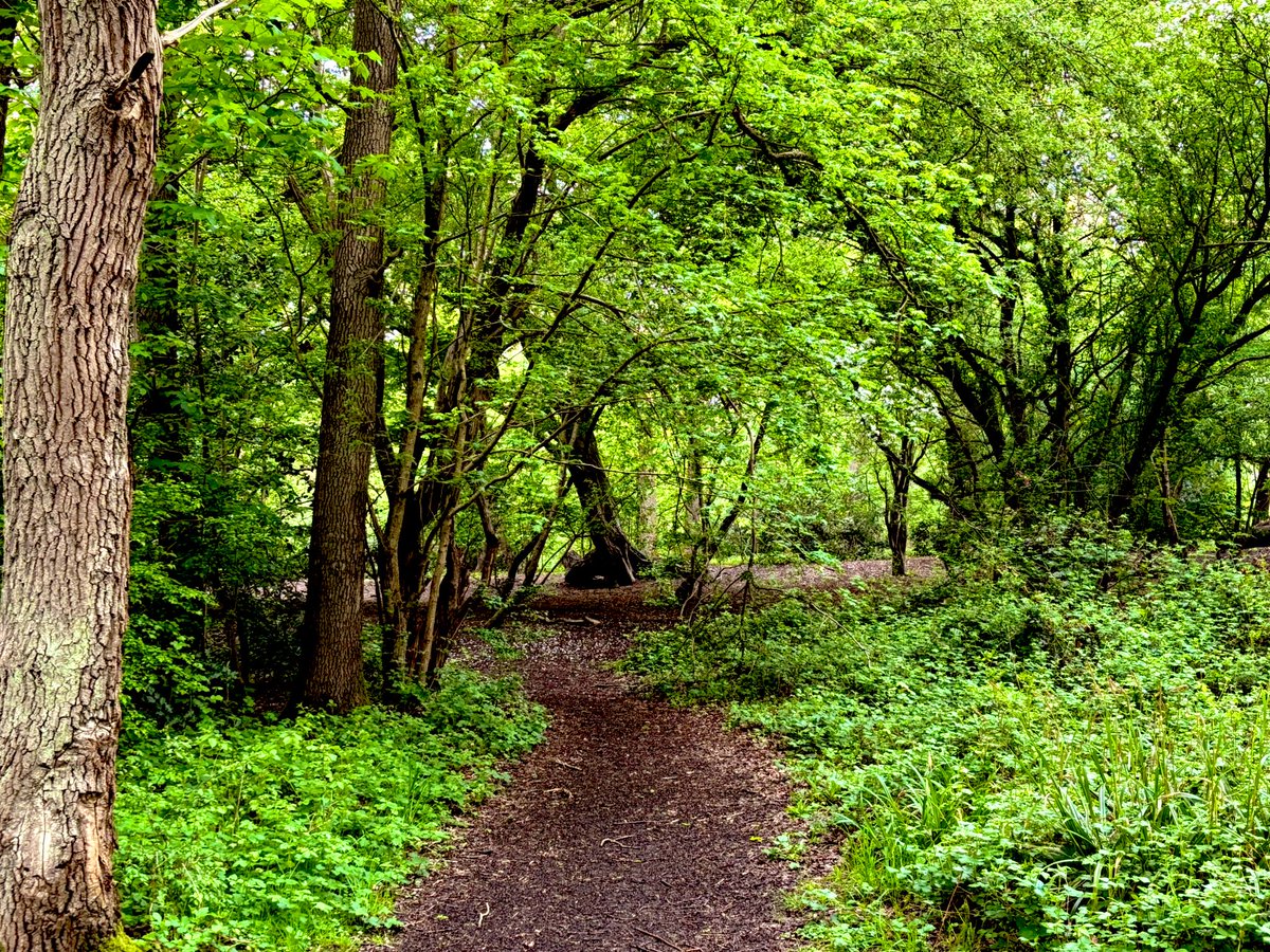 stjohnscen20's tweet photo. Year 4 have arrived at Moat Mount! What a beautiful place to visit! #OutdoorLearning #Residential #LearningThroughNature #Nature https://t.co/i5fKJyvDhh