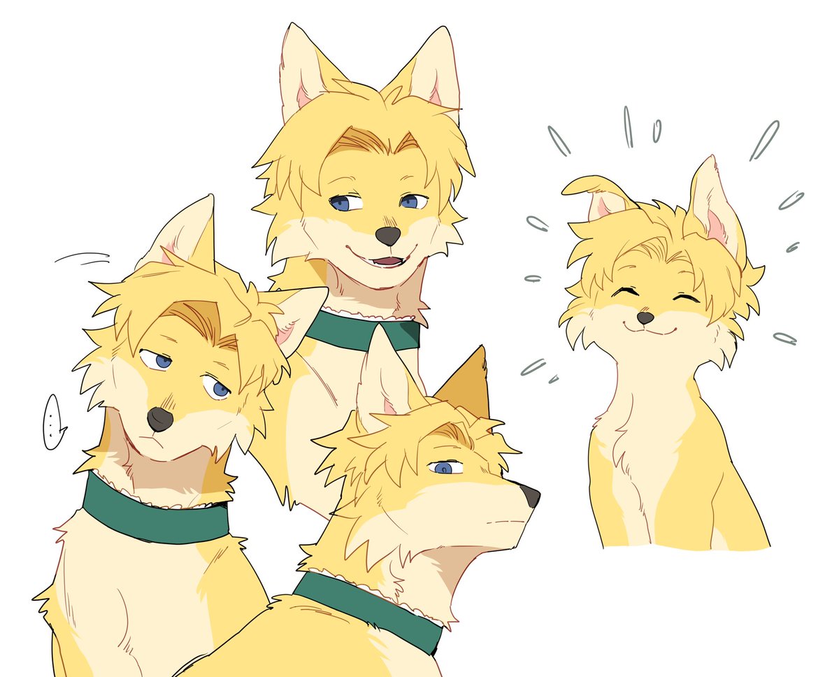 ม๋าเอียงคอ ม๋าสงสัย