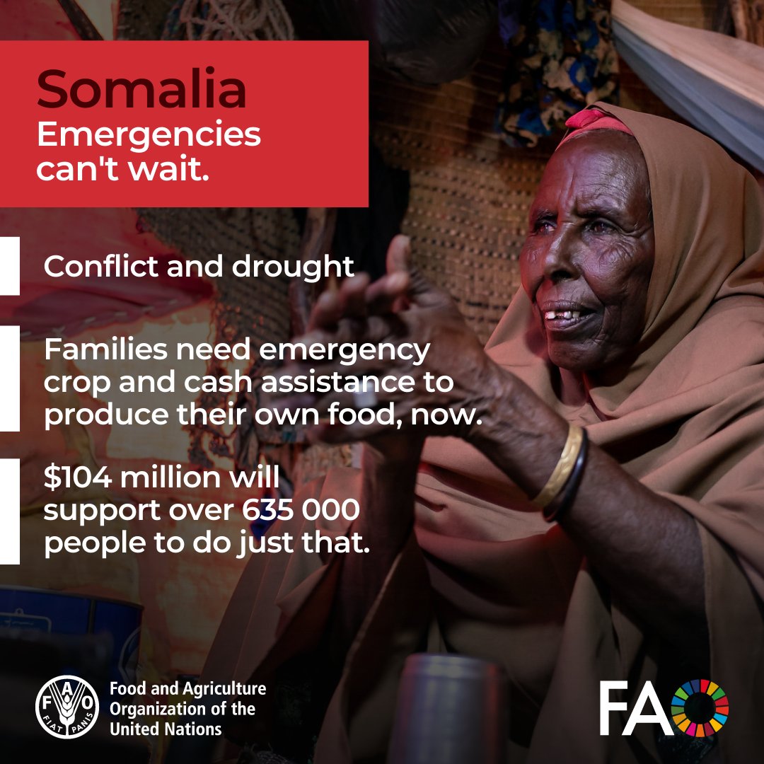 Conflict and drought are driving millions of people in Somalia to the edge of acute hunger.

With crops failing and livestock struggling, agricultural support is urgently needed to restore food production.

#EmergenciesCantWait—neither can we.

bit.ly/3G1ovKW