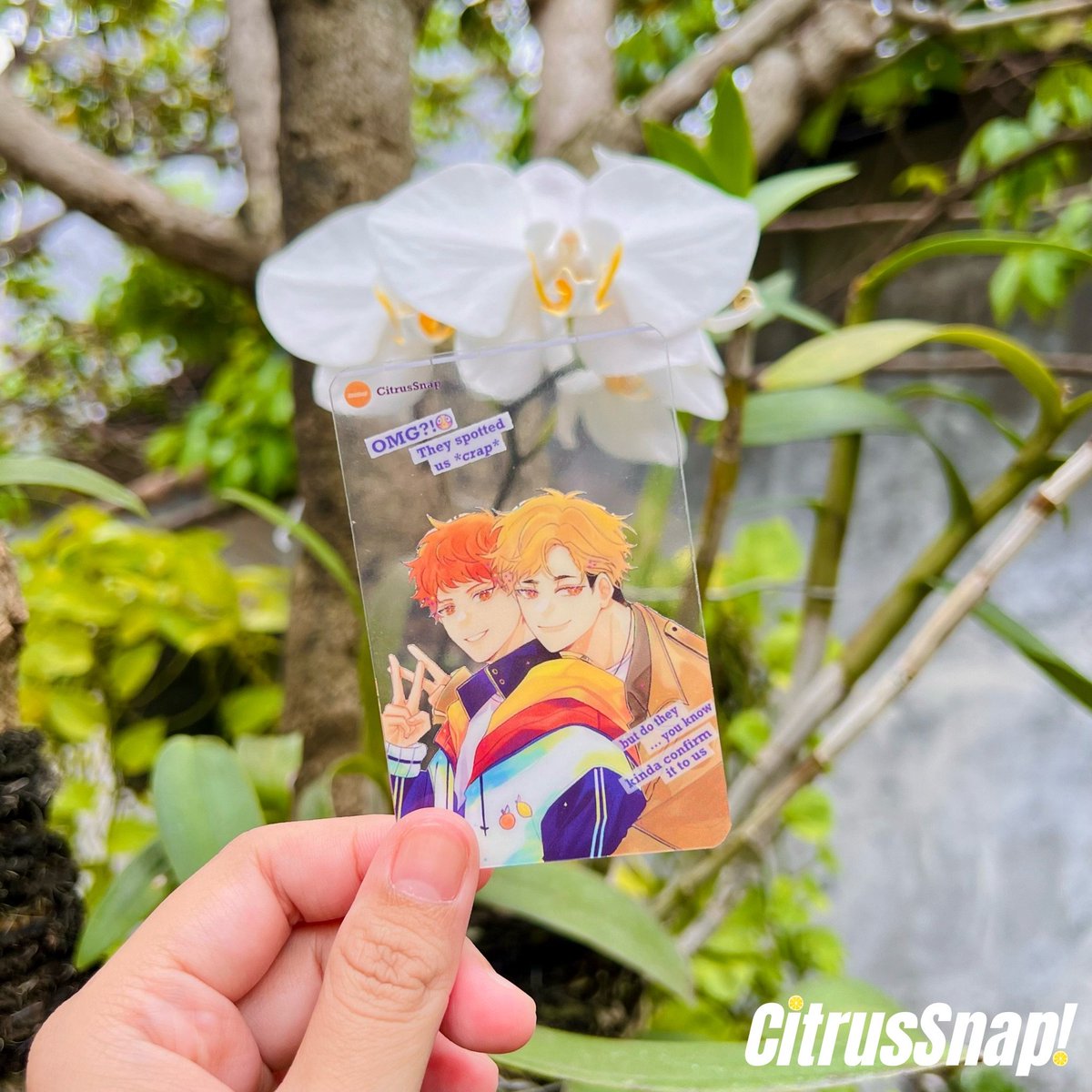 AtshnSnap's tweet photo. Are you on your vacation? Don't forget to bring this clear card to capture your holiday 😉😉

#atsuhina #侑日 #CitrusSnap 🍋🍊 https://t.co/q81tPlxByU