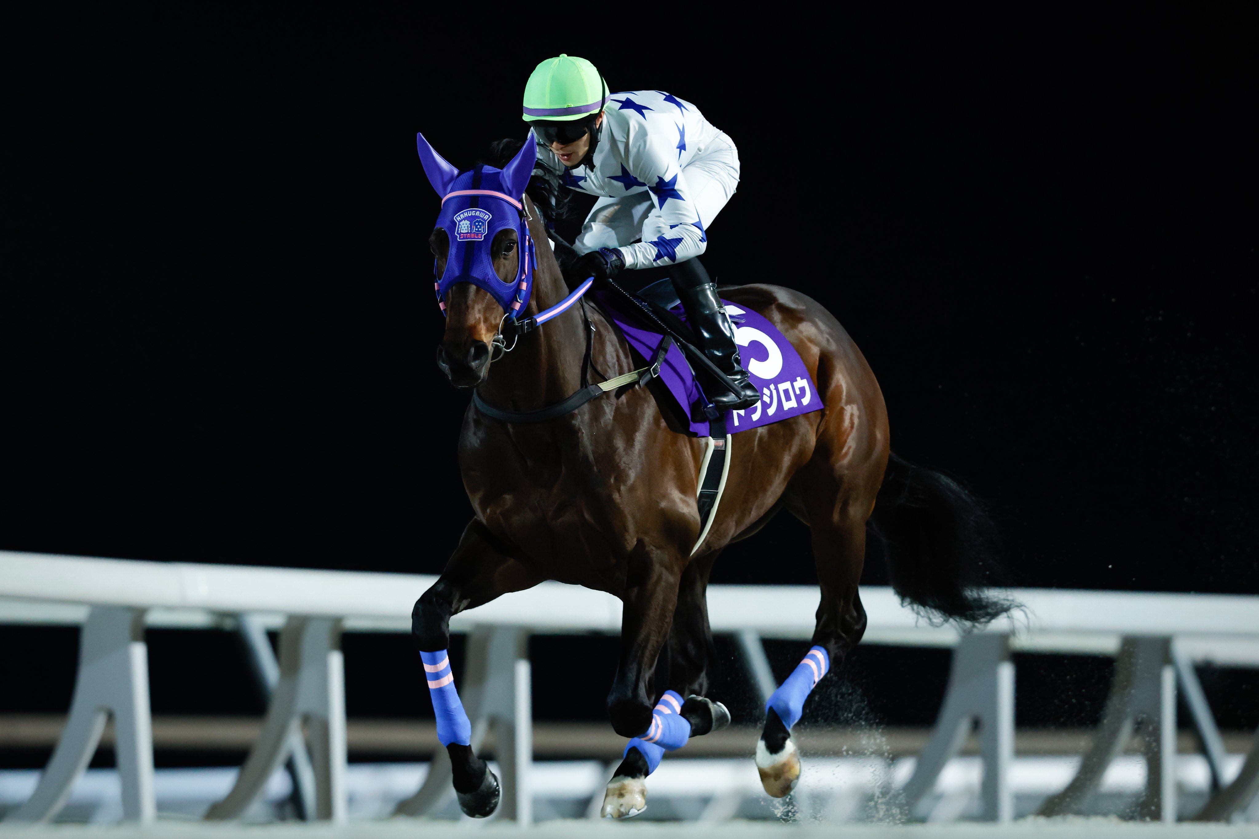 🏇うまゆき🏇 (@black_sushiko) / X