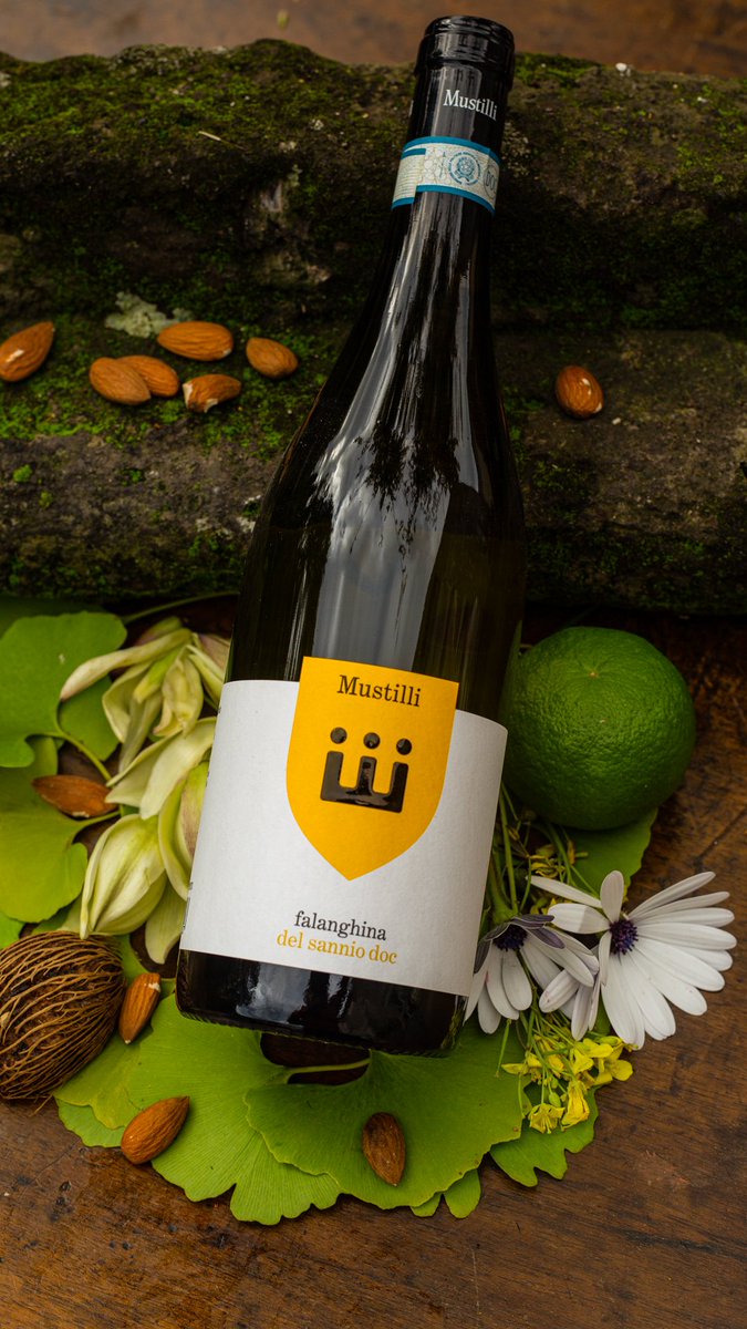 Cantine Mustilli tweet media