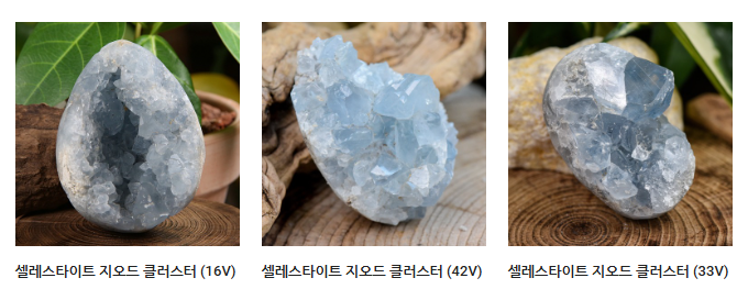 맨/오후 tweet media