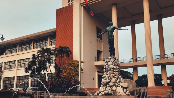 niwshis's tweet photo. 🌻 — @niwshis’ upcat ‘26 journey :)

start: 24th of april, 2025
end: — https://t.co/mP8QZwPrnm