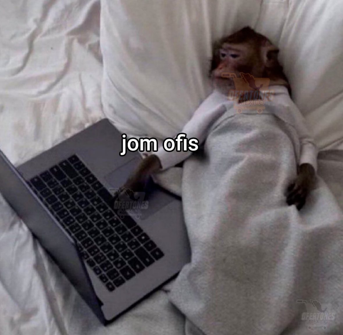 viooooooooleta's tweet photo. mood https://t.co/tDGKDiKhzi