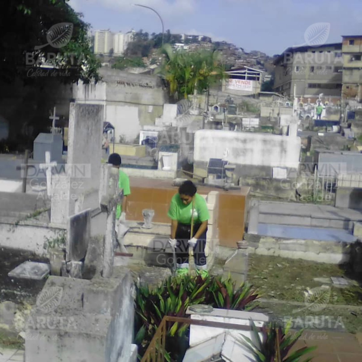 Desde temprano activos con las labores de áreas verdes en el municipio:

📍Saneamiento ambiental en la calle La Salsa de Hoyo de La Puerta.

📍Mantenimiento, desmalezado y saneamiento en la Av. Principal de Santa Paula.

📍Poda preventiva en la calle Bulevar en La Bonita.