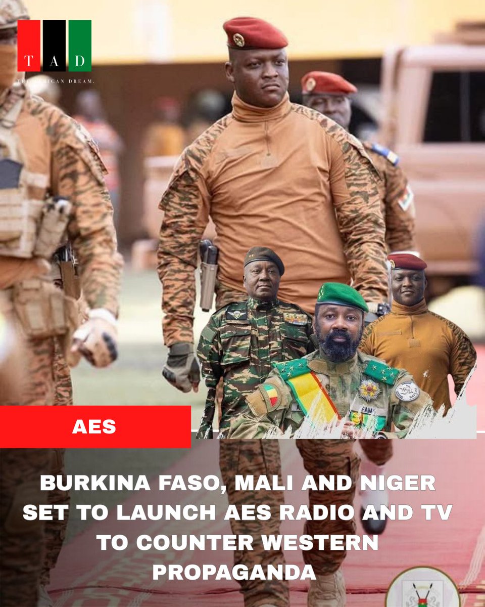 The African Dream tweet media