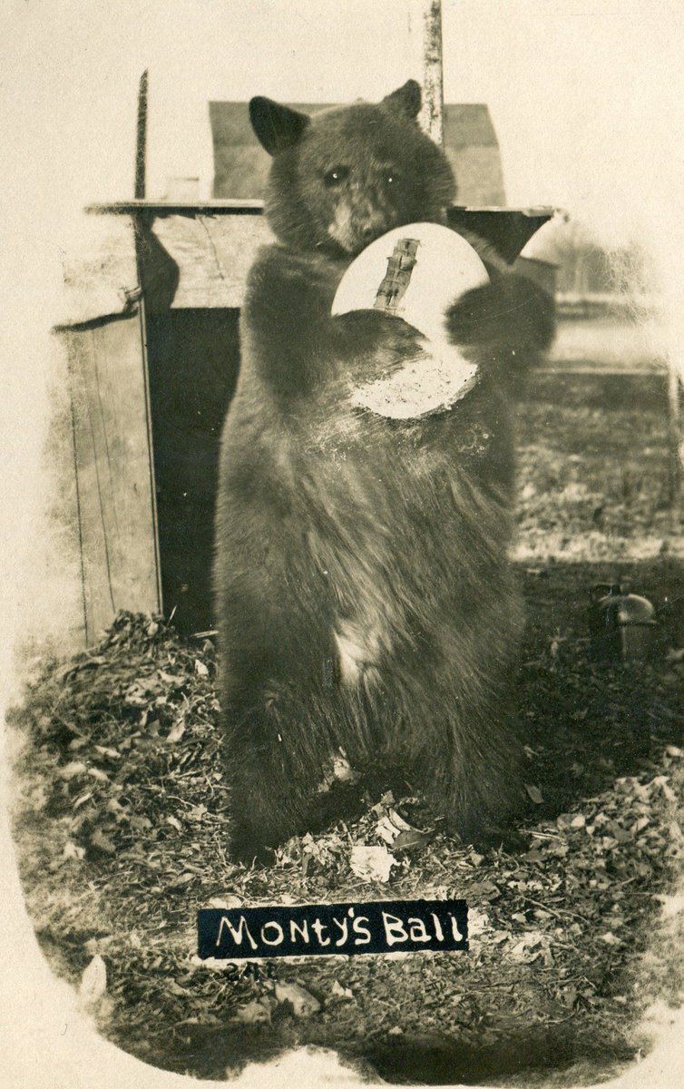 wBlinty's tweet photo. @OdellBretthamJr Nah. Skip the horse, I want to bring back the bear! https://t.co/tYk6sSU5O2