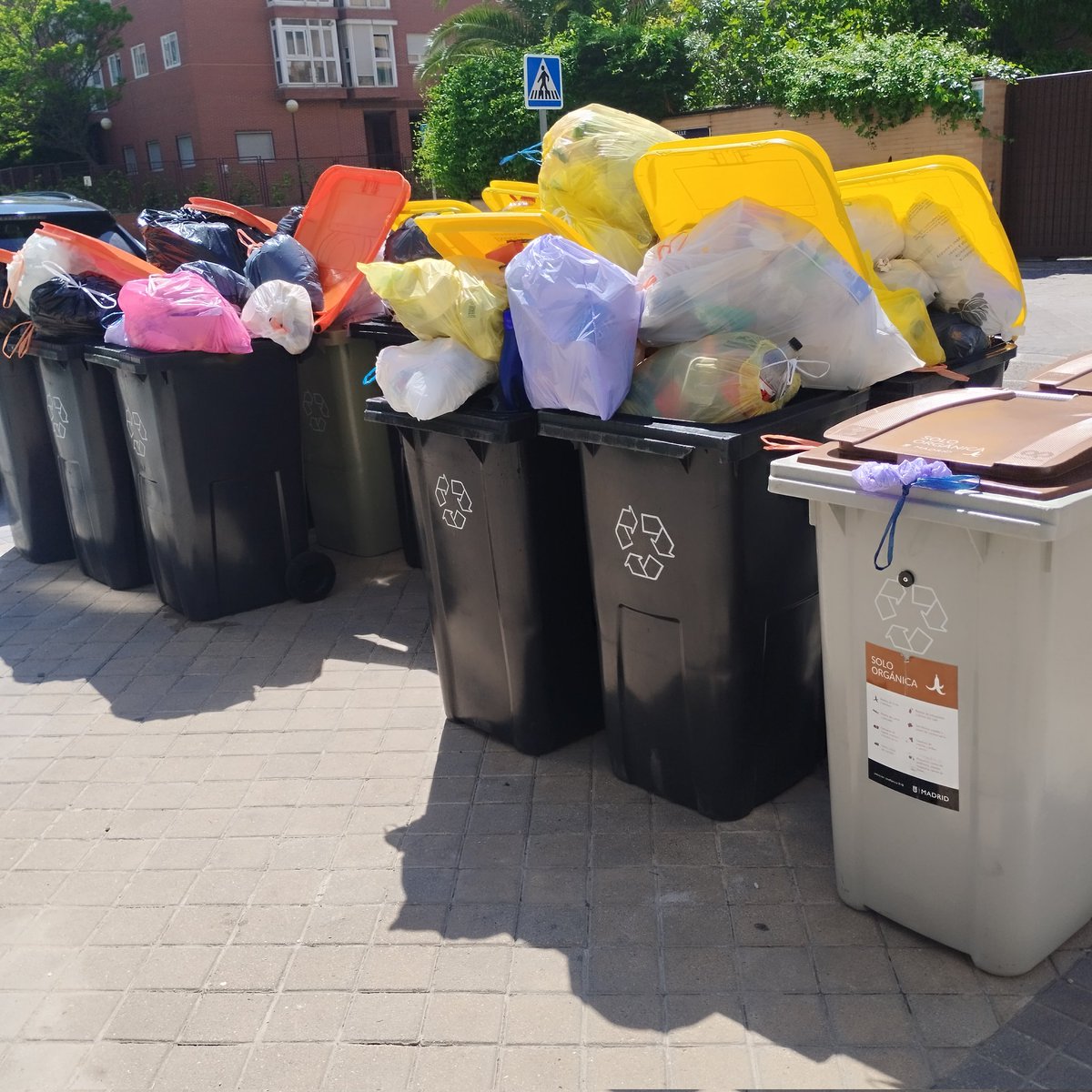 LuRevMac tweet media