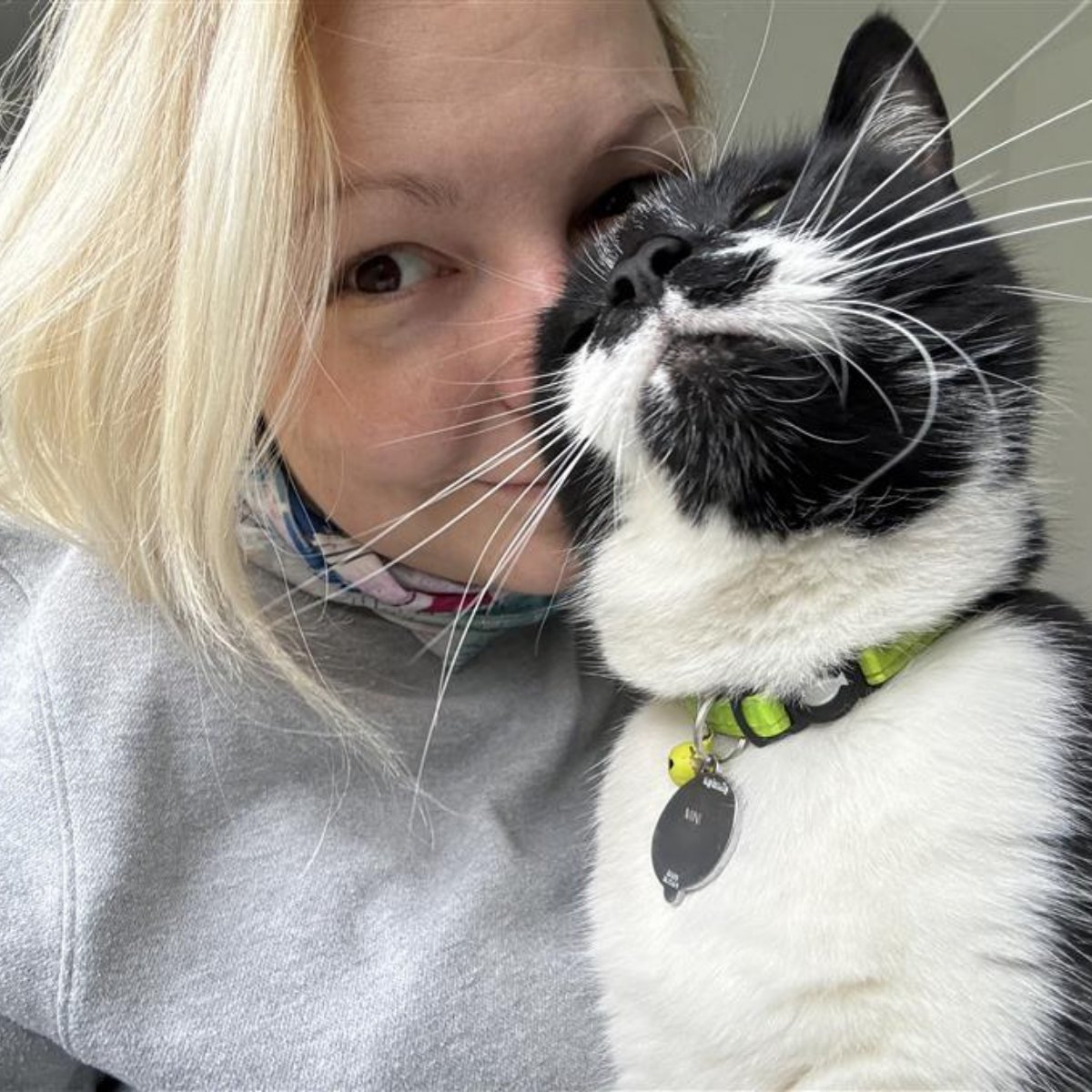 skoutpr's tweet image. So with April being National Pet Month, we thought it was the &apos;paw-fect&apos; excuse to show off our furry little friends. 👇 

#NationalPetMonth #PetsAtWork