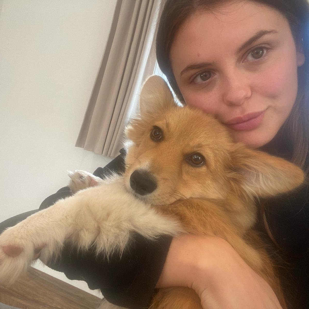 skoutpr's tweet image. So with April being National Pet Month, we thought it was the &apos;paw-fect&apos; excuse to show off our furry little friends. 👇 

#NationalPetMonth #PetsAtWork