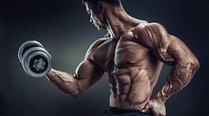 JadiesEssential's tweet image. 5 Best #Triceps #Exercises to Achieve the Coveted Horseshoe  bit.ly/4jMn1mb #bodybuilding #arms #gym