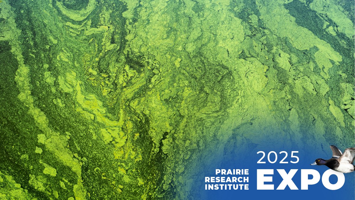 Prairie Research Institute (@prairieresinst) on Twitter photo Algae-lujah! 🙌 These tiny organisms are doing big things in sustainable technology. See the power of algae up close at the PRI Expo with <a href="/ISTCatUIUC/">Illinois Sustainable Technology Center</a>!
📆 May 2-3, 2025
📍 Research Park, University of Illinois Urbana-Champaign
👉 More info at the link in the thread. Algae-lujah! 🙌 These tiny organisms are doing big things in sustainable technology. See the power of algae up close at the PRI Expo with <a href="/ISTCatUIUC/">Illinois Sustainable Technology Center</a>!
📆 May 2-3, 2025
📍 Research Park, University of Illinois Urbana-Champaign
👉 More info at the link in the thread.
