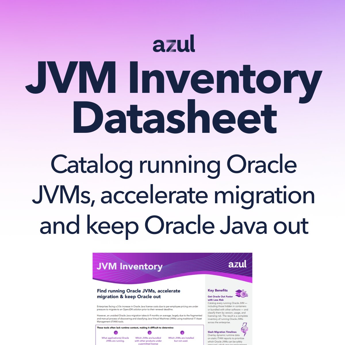 AzulSystems's tweet image. Accelerate JVM discovering discovery and classification with JVM Inventory!  

This datasheet provides a quick overview and key benefits: bit.ly/42XdiE5  

#Java #OpenJDK #OracleJava #JVMInventory #AzulPlatformCore
