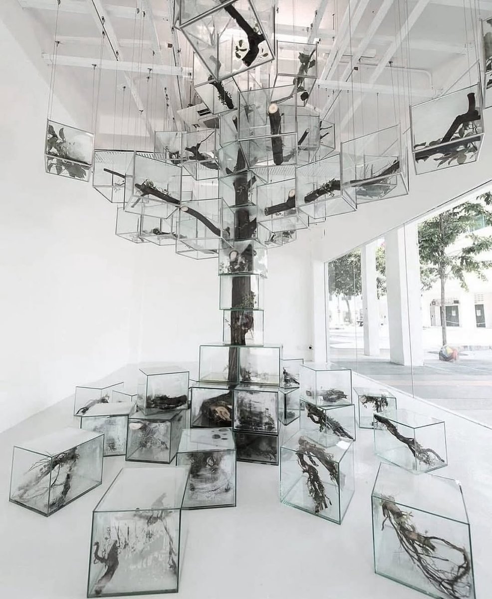 99REFERENCE tweet media