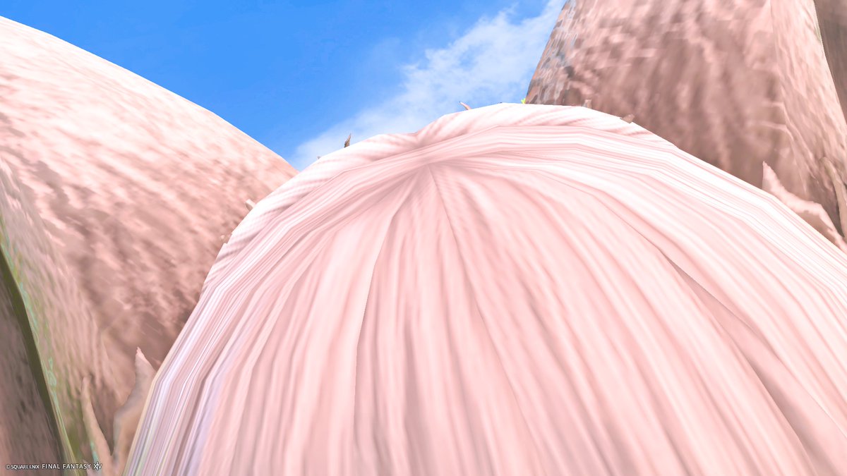 「うずらちゃん羽合わせでSS撮ろう~~🐱」「はい、チーズ📷」　#FF14SS