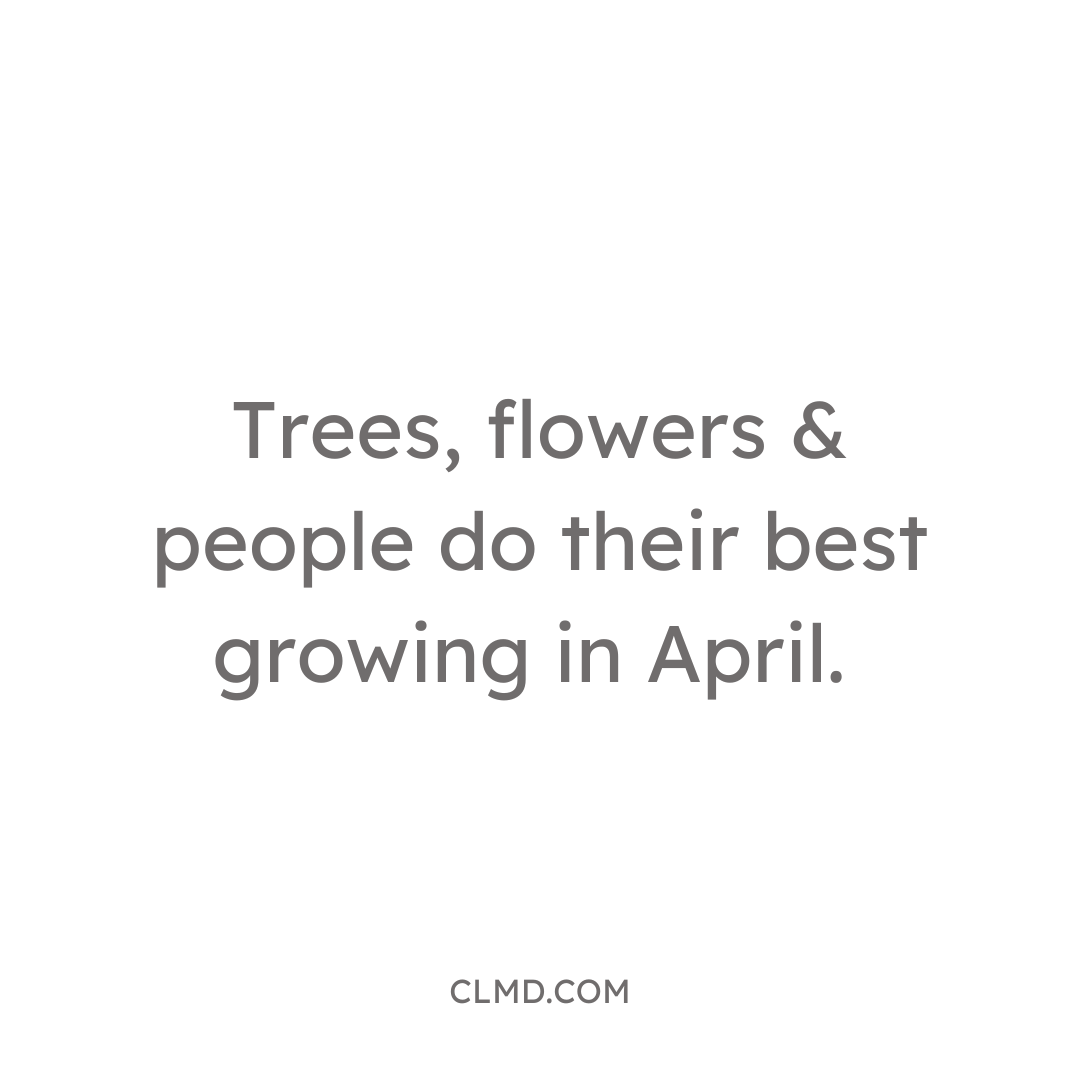cherylleemd's tweet photo. 🌱✨ April showers bring more than just flowers; they bring a chance for us to bloom too! Just like nature, we’re all about that rebirth and growth. So, how are you nurturing your inner garden this month? 🌼💚 #AprilAwakening #GrowthMindset #CherylLeeMD https://t.co/DXKvdGSE6X