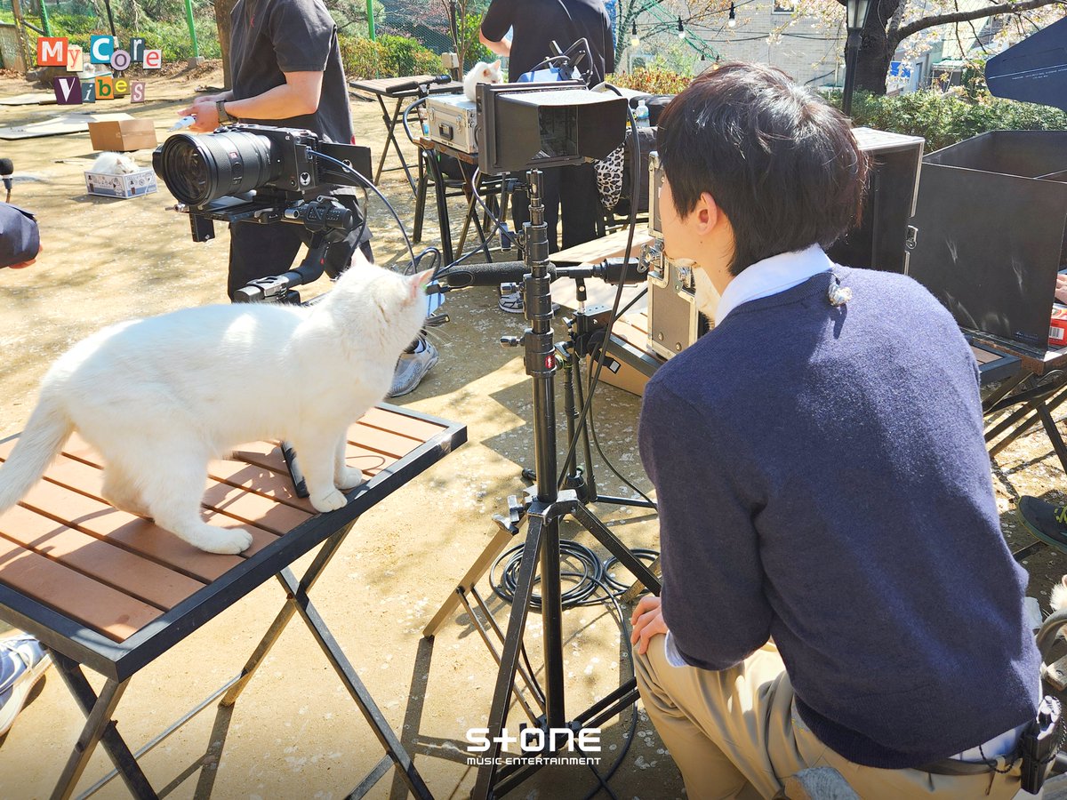 StoneMusicEnt's tweet photo. 야옹-! 마���코어바이브 ‘하현상’ 편 비하인드 컷 대공개😸💕

너무 귀여워서 저항없이 웃음 터지는
[My Core Vibes] 하현상 - 고양이' 편 보러 가기🐈
>> https://t.co/DnG4NsQr4W

#하현상 #Hahyunsang #고양이 #Cat https://t.co/4MSIv4rebw