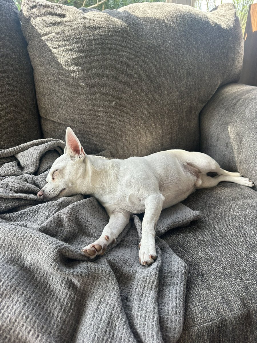 Someone got another day off today.