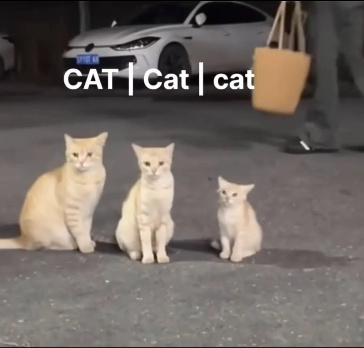 shinewithsooze's tweet image. Doing gridwork with my daughters 
🥰🐦‍⬛🦉🐻‍❄️🌀🌈🧬 #nyc #flameseeds #gridwork #flamearchitectsintraining #krystalchildren