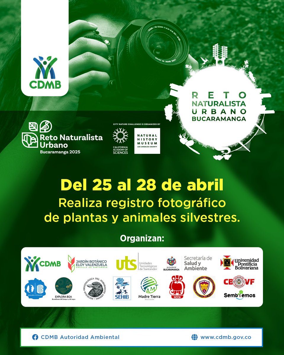 🗓️Del 25 al 28 de abril, únete al #RetoNaturalistaUrbano2025
Registra la biodiversidad silvestre 🌴🐯que encuentres con tu celular 📱y súbela a la App iNaturalist.
¡Cada foto cuenta para la ciencia! 🔍#CityNatureChallenge #NaturalistasBerracos