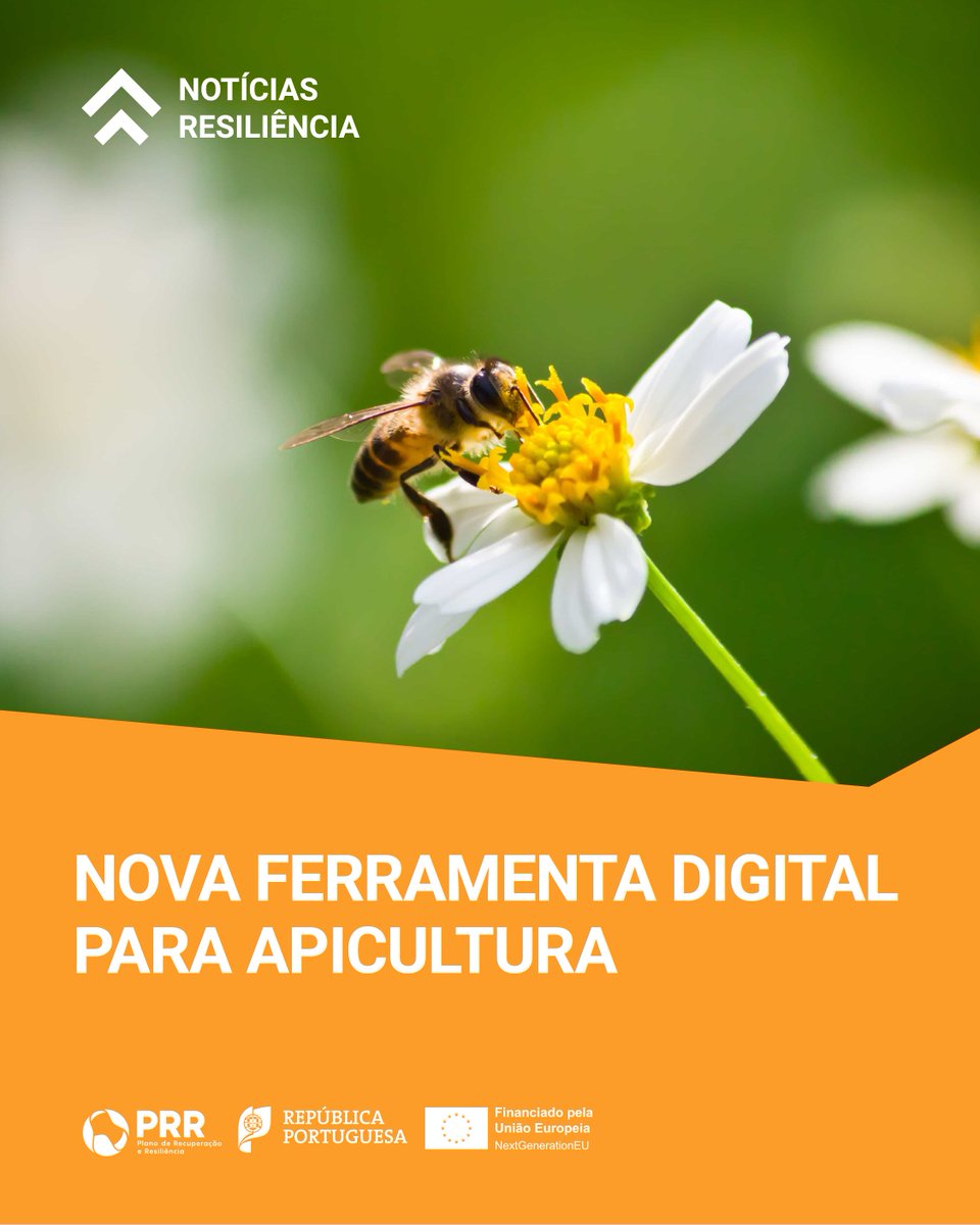 Está disponível a Bolsa de Polinização Apícola, uma nova ferramenta digital criada no âmbito do projeto Beeland e financiada pelo PRR.

Saiba mais em recuperarportugal.gov.pt
#prr #resiliencia #apicultura #nextgeneratioEU