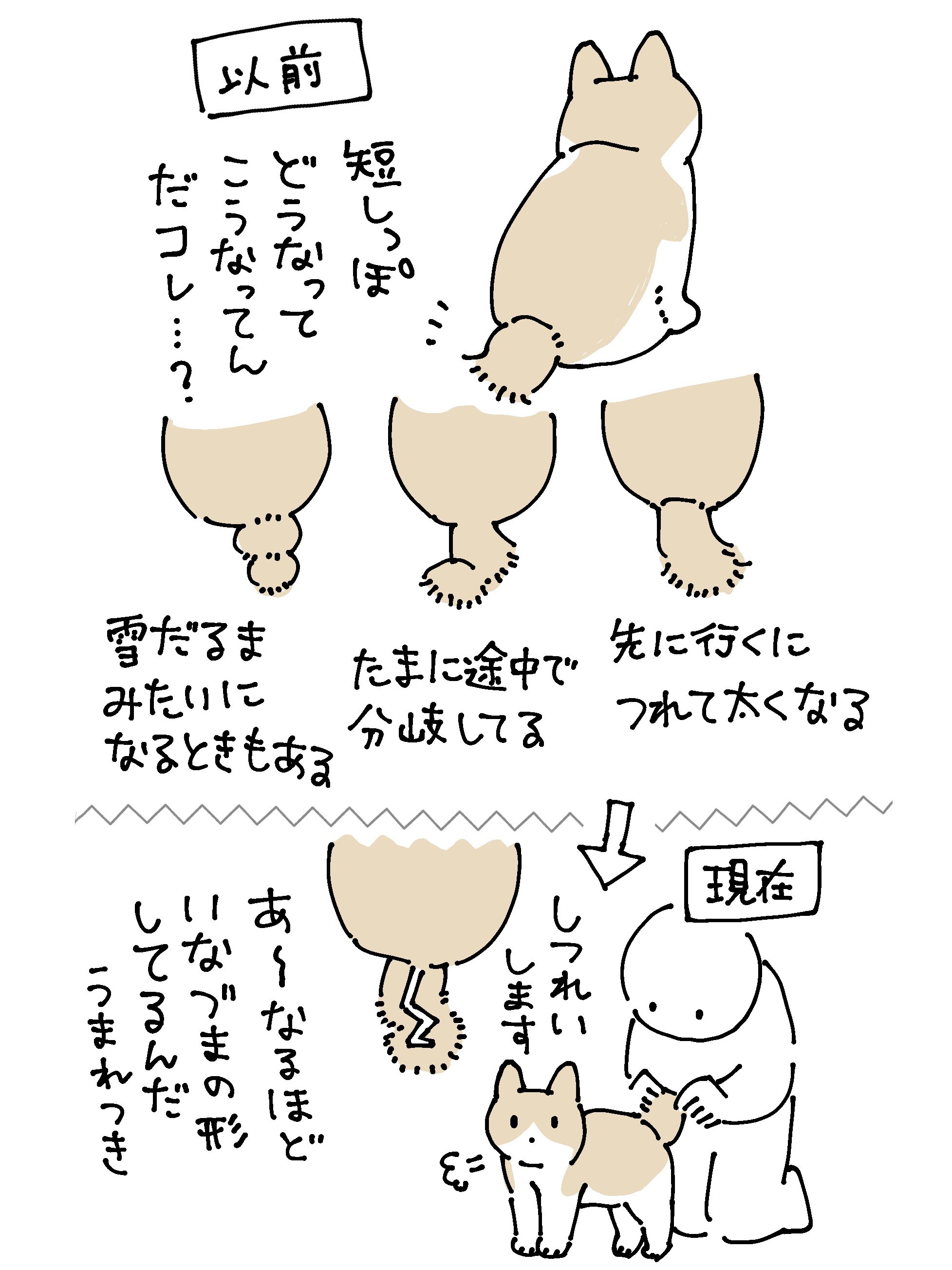 【希少＊美品】 TEXT / ねこぼーろ 新品】こっちよネコちゃん / 心火GAMES 発売日:2025年05月頃