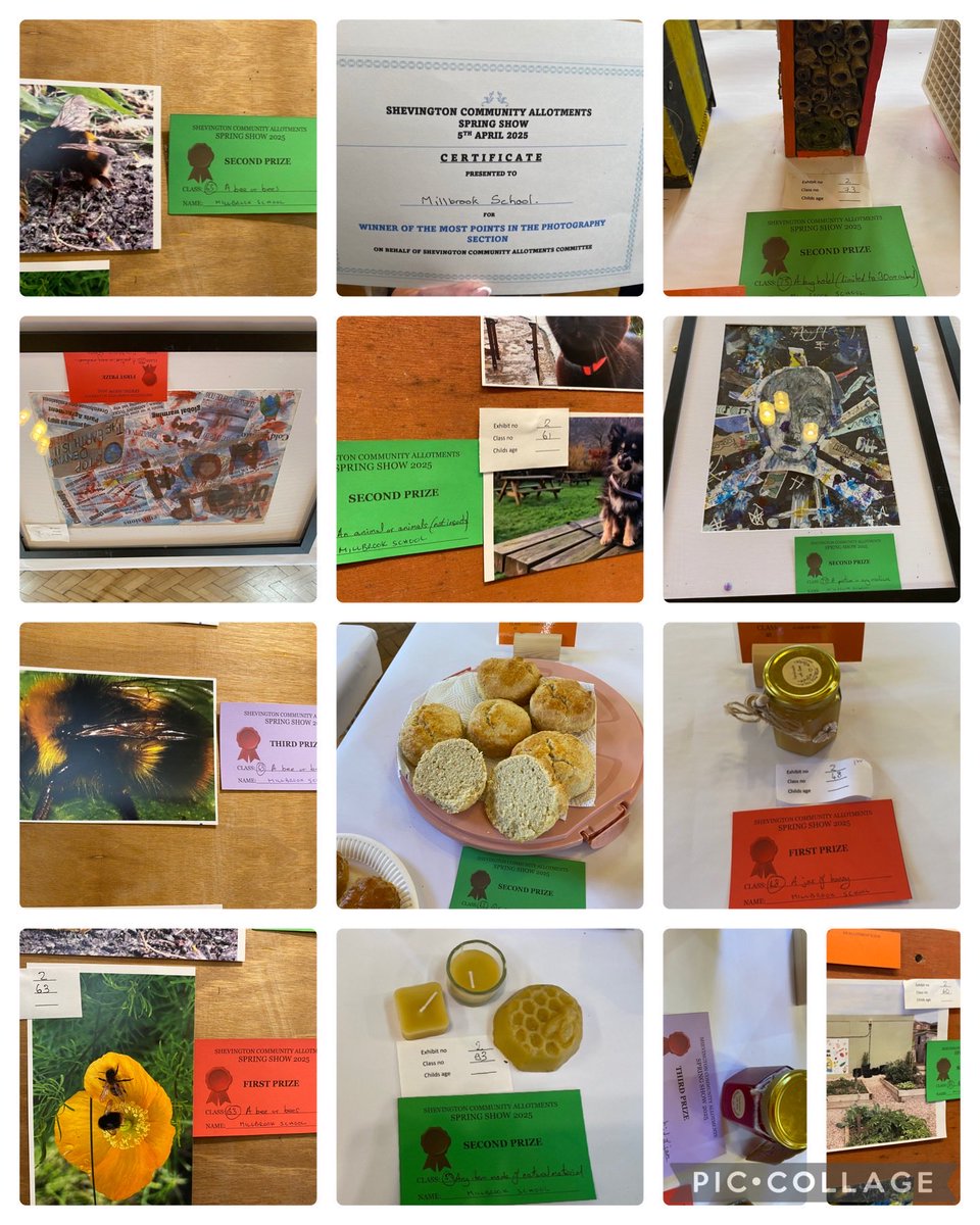Millbrook Primary (@millbrookwigan_) on Twitter photo Well done to all our children who took part in the Spring Show. Here are our winning entries. #itstartswithabee <a href="/CostainGroup/">Costain Group</a> #enterprise <a href="/ShevCommunity/">Shevington Community</a> Well done to all our children who took part in the Spring Show. Here are our winning entries. #itstartswithabee <a href="/CostainGroup/">Costain Group</a> #enterprise <a href="/ShevCommunity/">Shevington Community</a>
