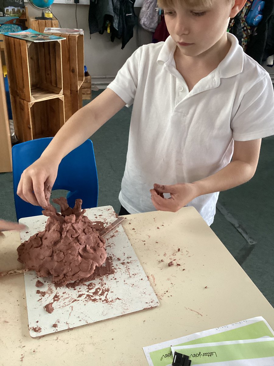 Tang Hall Swallows tweet media