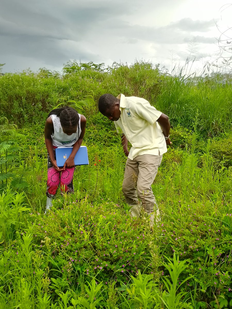 Bee forage survey field activities in selected agroecological zones of Uganda supported by Eva Crane Trust