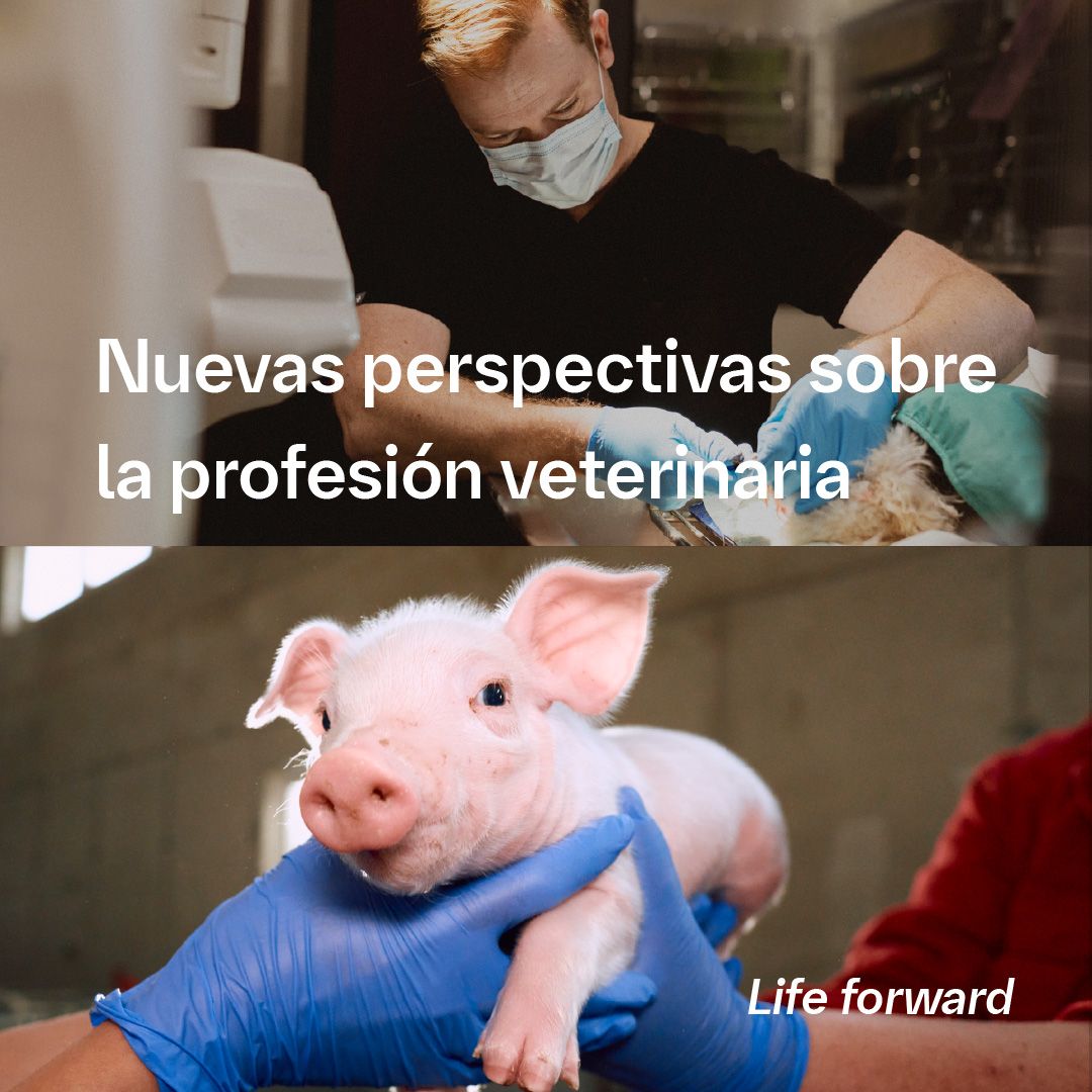 #PRENSA: Una nueva encuesta muestra que más del 90% de los dueños o tutores de animales confían y aprecian a los veterinarios, pero subestiman las exigencias de la profesión. Conoce porqué esto es importante y cómo podemos marcar una diferencia para los veterinarios.: 👉