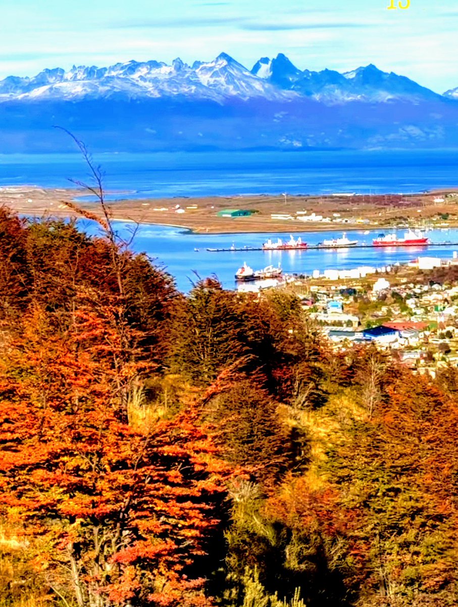 ¡Buen día! ¡El maravilloso Otoño fueguino!😍🍁🧉
Ushuaia. Patagonia 🇦🇷