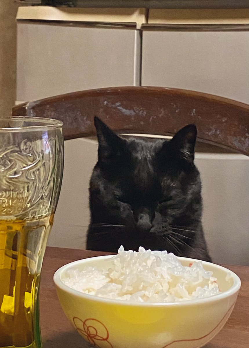 #猫
今日の一枚🐈‍⬛