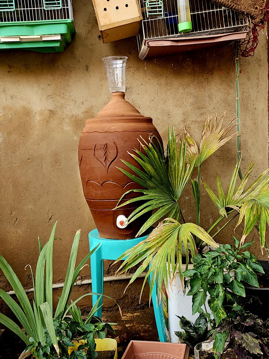 قطعت م قطعت م شغالين بيها 😍