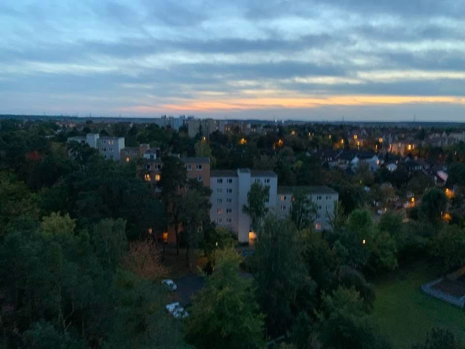 Twilight, Tranquility, Trees