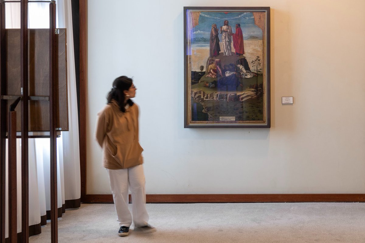 MuseoCorrer tweet media