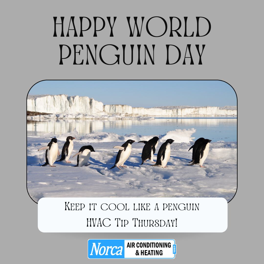 Happy #WorldPenguinDay!
Penguins love the cold—and so does your AC.

HVAC Tip Thursday:
Keep your outdoor unit clear of debris so it can breathe easy and run efficiently. #HVACtips #NorcaAir #MiamiHVAC #StayCool #PenguinApproved