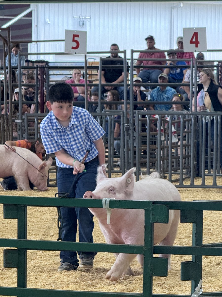 Willis ISD (@willisschools) on Twitter photo Wildkats at the Montgomery County Fair & Rodeo: The Recap Roundup โ๐ด
Saddle up for today's edition of our Recap Roundup - here's how our Wildkats showed up and showed out at the <a href="/mcfatx/">Montgomery County Fair Association</a> 's Fair & Rodeo! Although this year's event has concluded, our students achieved some Wildkats at the Montgomery County Fair & Rodeo: The Recap Roundup โ๐ด
Saddle up for today's edition of our Recap Roundup - here's how our Wildkats showed up and showed out at the <a href="/mcfatx/">Montgomery County Fair Association</a> 's Fair & Rodeo! Although this year's event has concluded, our students achieved some