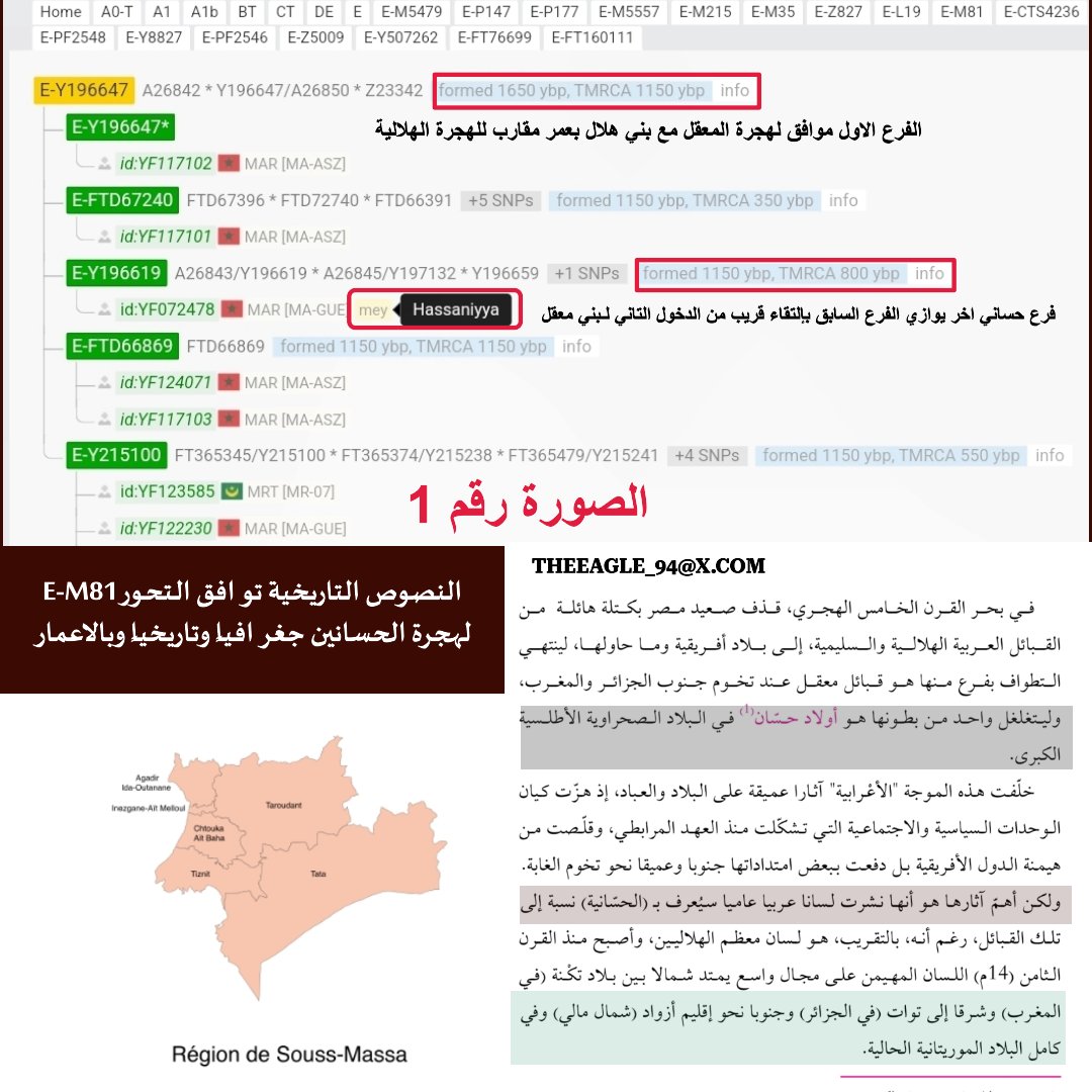 THEEAGLE_94's tweet photo. بني معقل علي الـE-M81  📌 

 في الصورة رقم 1

الفرع الجينيE-Y196647 من الـE-Z5009

يُمثل إنتشار الحسانين التاريخي والاعمار

حيث يمثل هدا الفرع الدخول الاول لهم مع بني هلال الى المغرب

الصورة رقم 2

عينة حسانية منعزلة بتوافق الجغرافية والعمر الجيني المقارب جداً للعمر التاريخي 🔻 https://t.co/5ILpAMZqP7