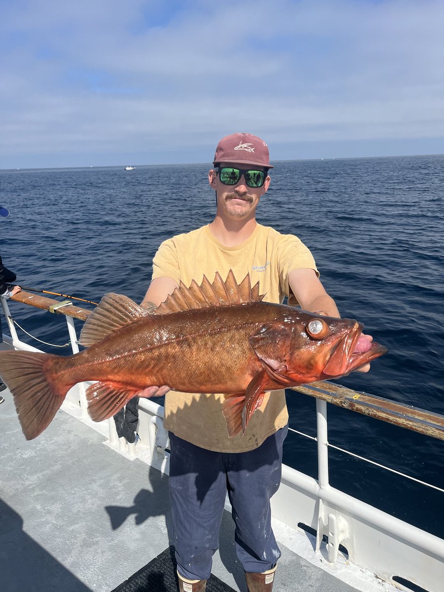 Rock Fishing ⁦<a href="/Fishdanawharf/">FishDanaWharf</a>⁩