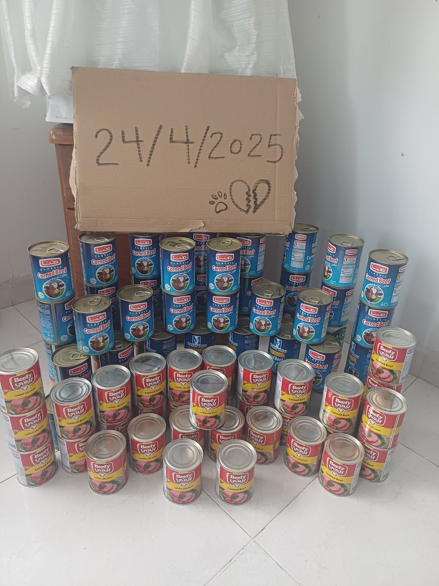 helpAnimalXxx's tweet image. 👋Hello all friends🌹
They ate so well,💞feeding them and seeing their little faces light up always warms my heart🐾❤️.
Full bellies, grateful hearts❤️🫂 Thank you for your donations and for standing by me and these beautiful souls. Every little thing makes a difference. Today I…