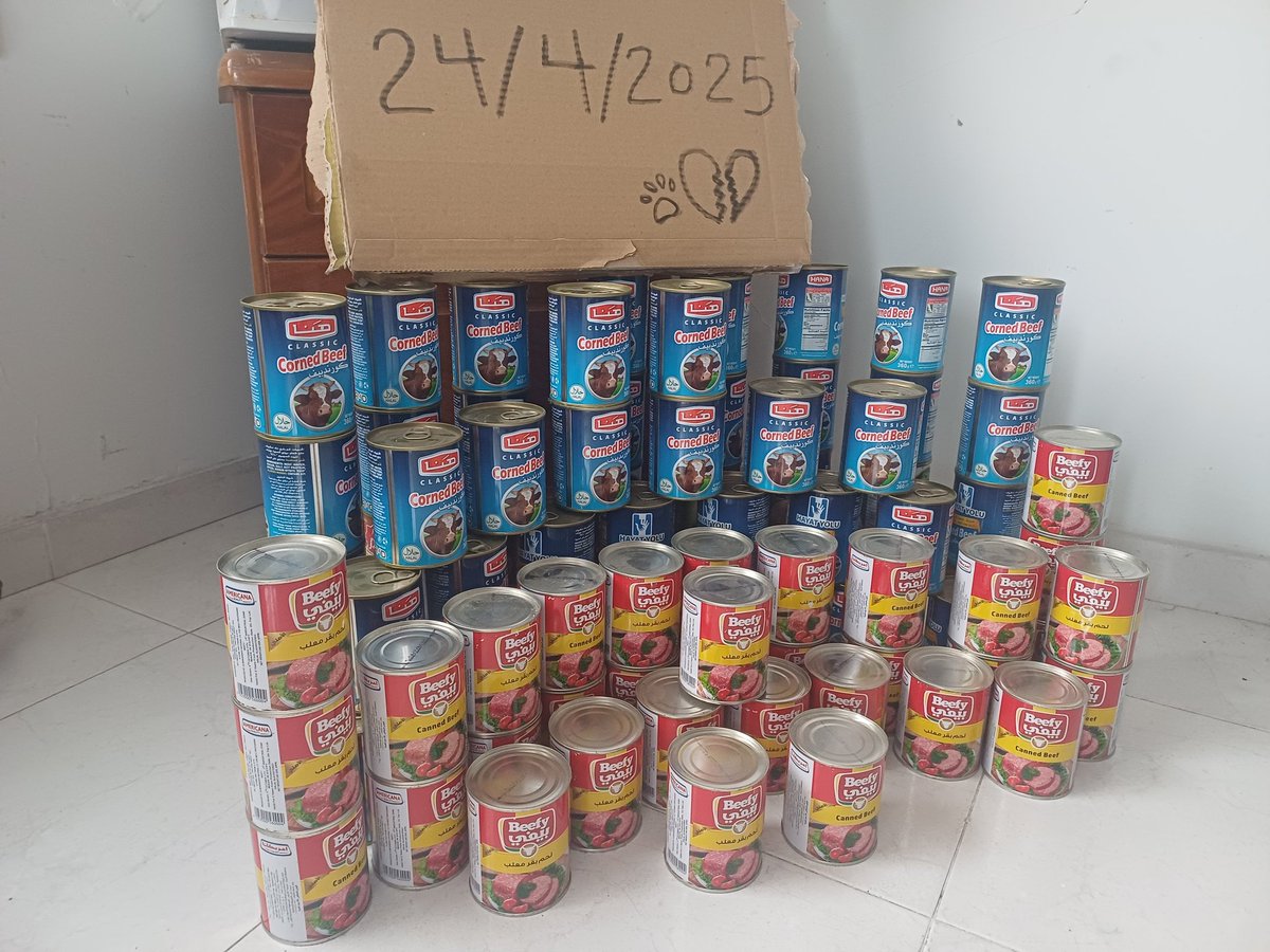 helpAnimalXxx's tweet image. 👋Hello all friends🌹
They ate so well,💞feeding them and seeing their little faces light up always warms my heart🐾❤️.
Full bellies, grateful hearts❤️🫂 Thank you for your donations and for standing by me and these beautiful souls. Every little thing makes a difference. Today I…